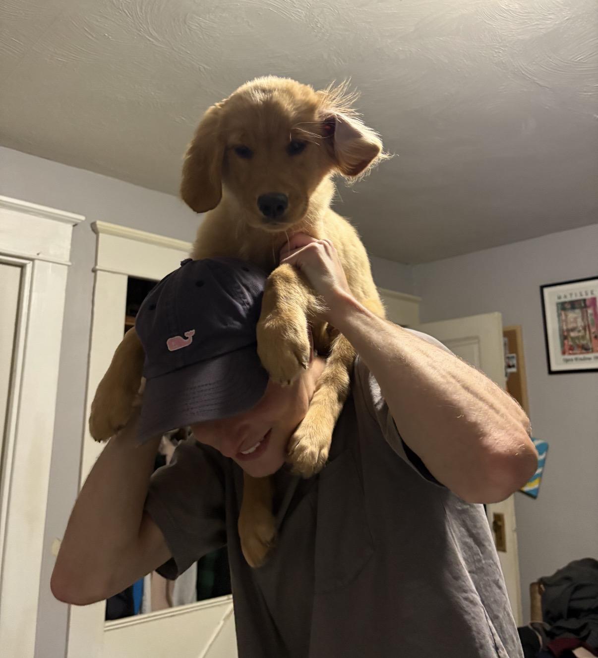 Lulu as a Golden Retriever puppy